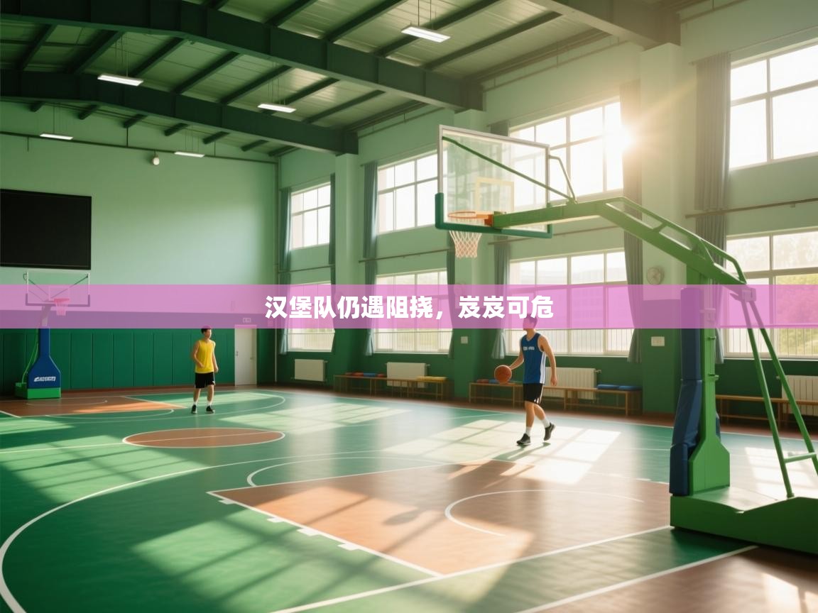 汉堡队仍遇阻挠,岌岌可危 第1张