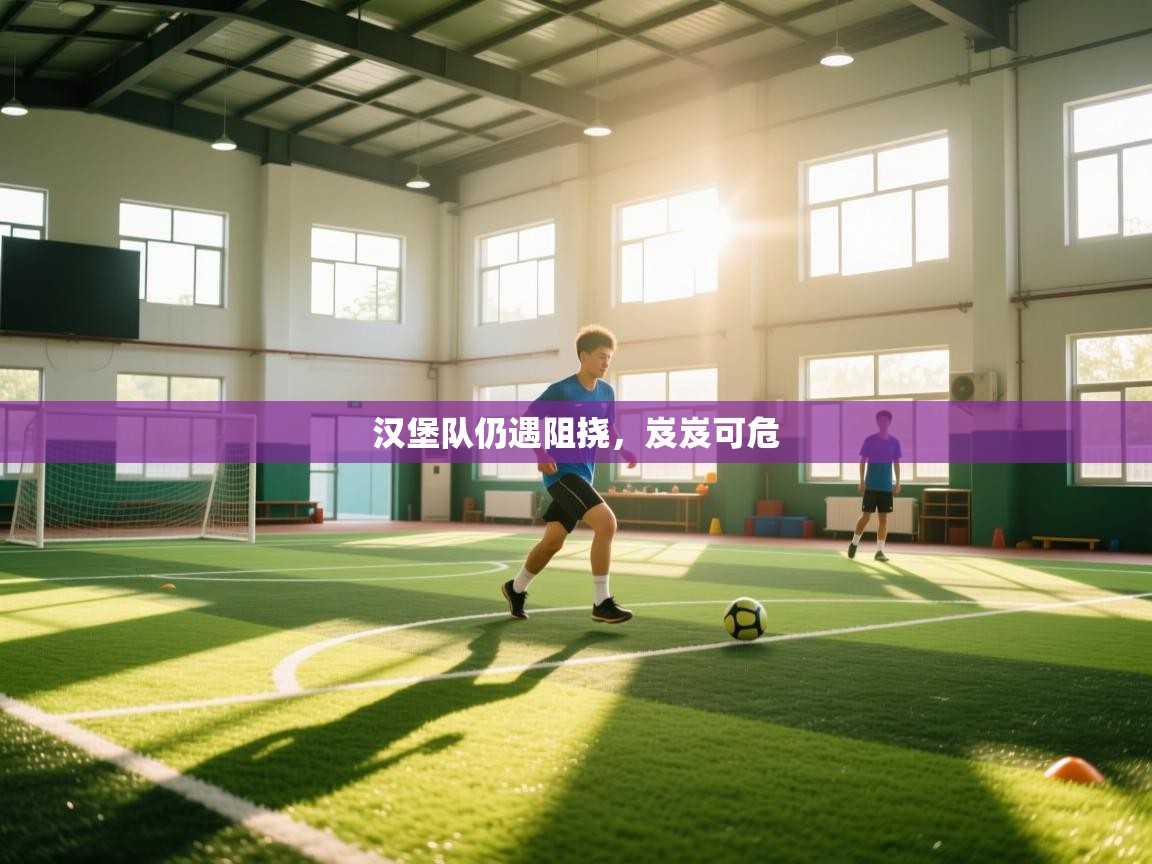 汉堡队仍遇阻挠,岌岌可危 第2张