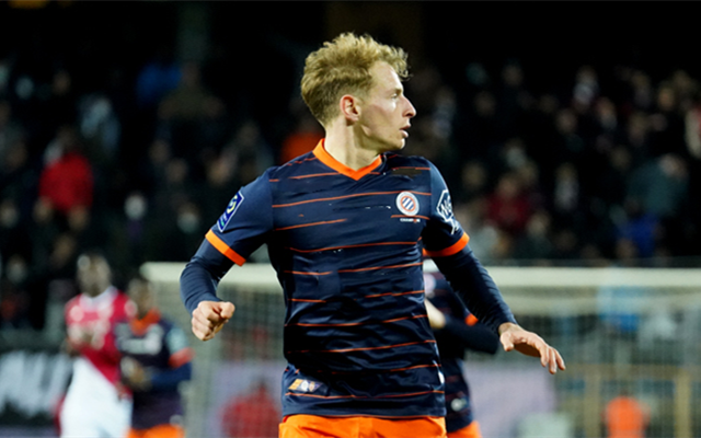 伟德体育平台官网-蒙彼利埃取胜结束连败，脱离降级区域的简单介绍