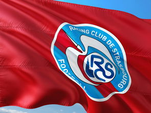 韦德1946体育官方入口-帕尔梅拉斯防守反击战术成亮点，挑战欧洲豪强