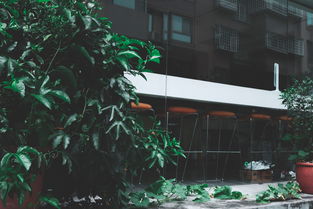 韦德体育APP-佛罗伦萨市政府启动“绿色低碳”计划，致力于打造更宜居的城市环境